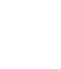 google-scholar-icone